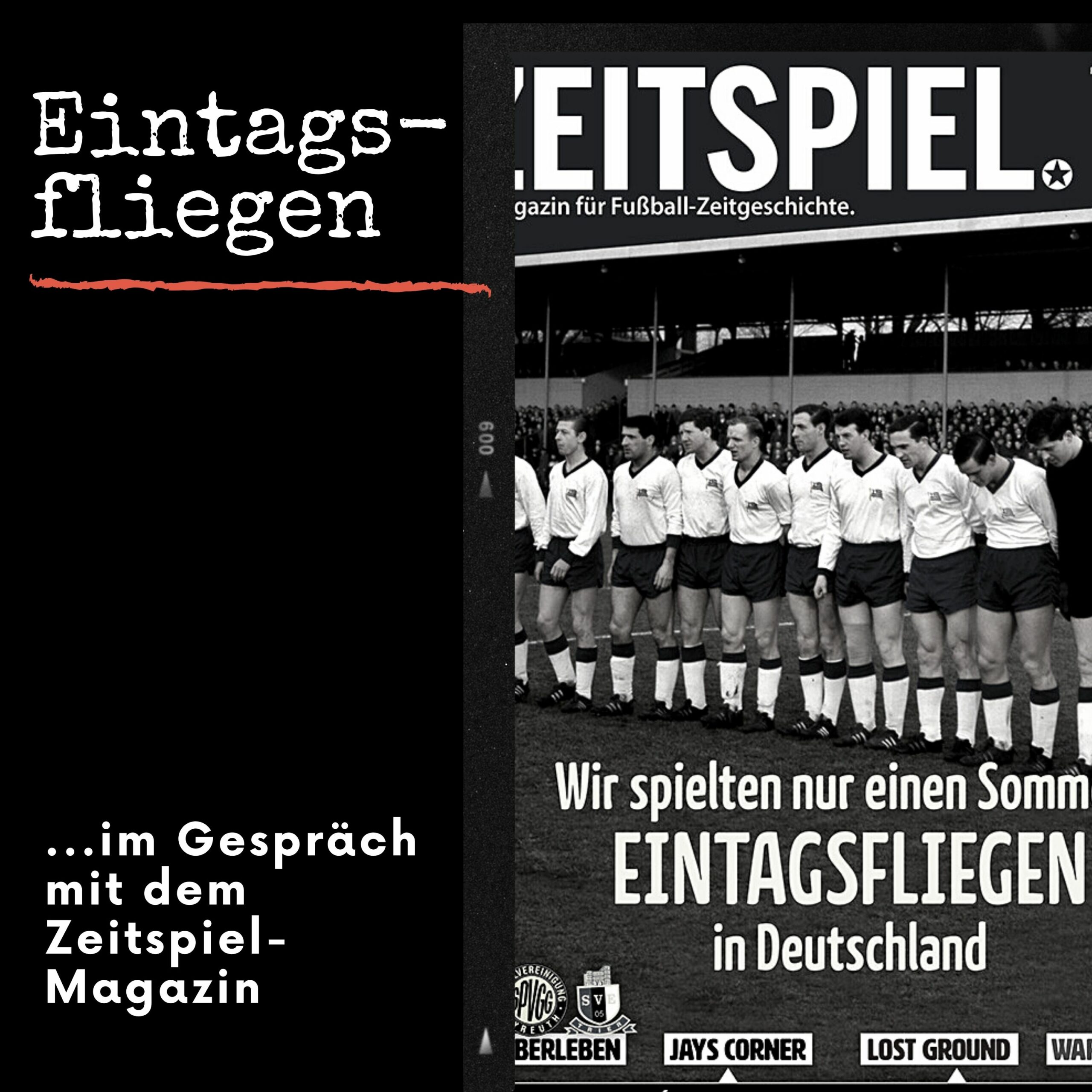 HRF 134 | Eintagsfliegen - Zeitspiel-Magazin #24